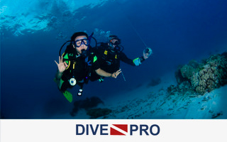 dive-pro